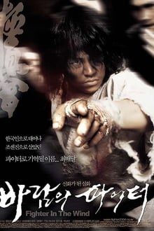 ქარის მებრძოლი / Fighter in the Wind, 바람의 파이터